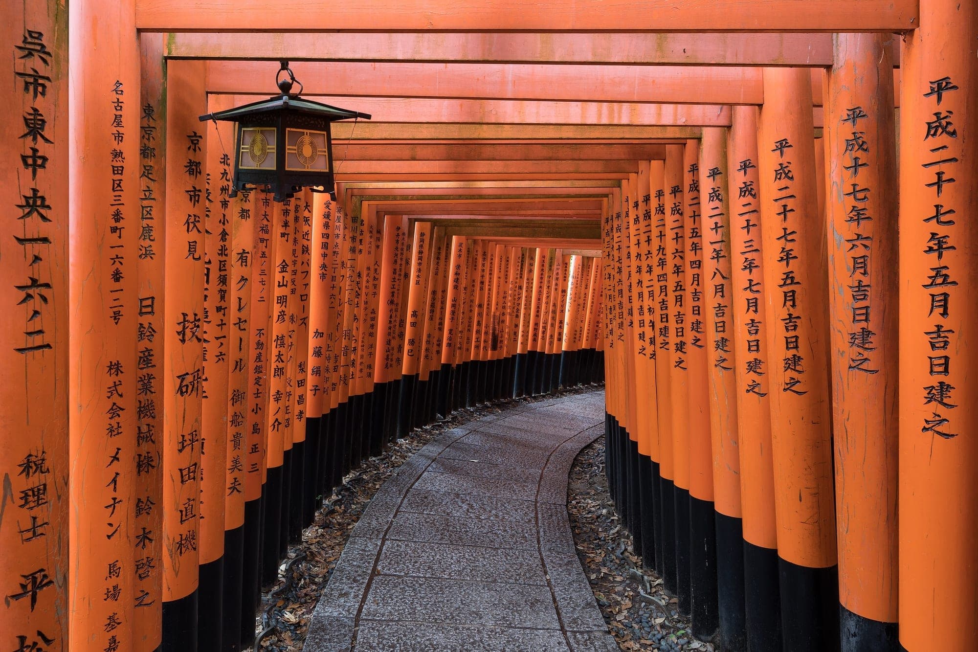 Torii gates at Fushimi Inari Taisha, Kyoto